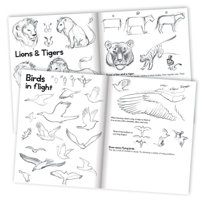 eeBoo Learn to Draw Animals - Image 2