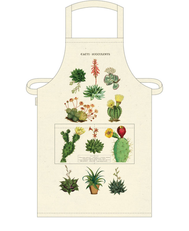 Cavallini Apron - Cacti & Succulents
