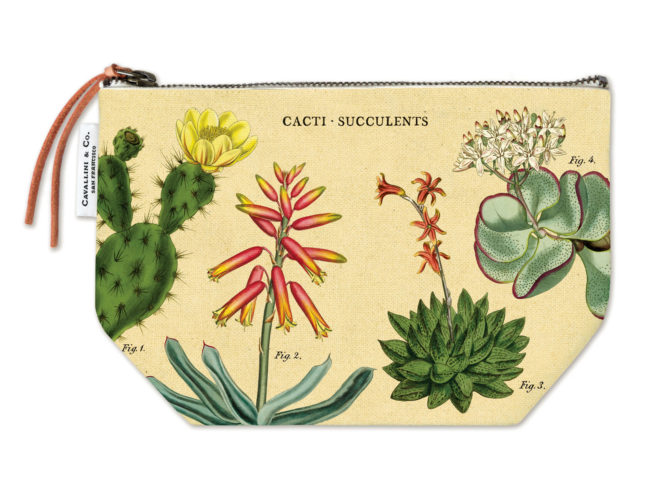 Cavallini Pouch - Succulents