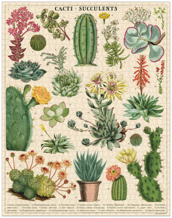 Cavallini - 1000 Pc Puzzle Cacti & Succulents - Image 3