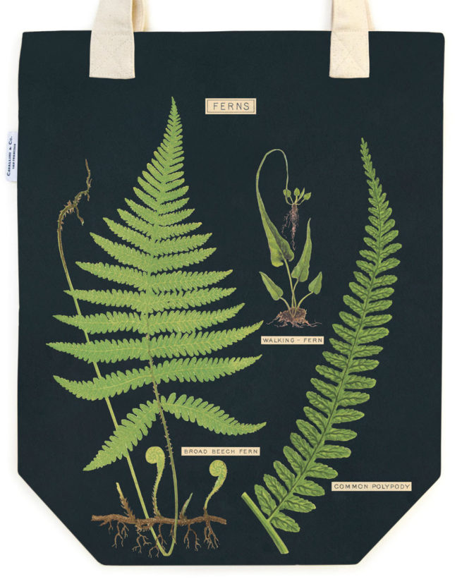 Cavallini Tote Bag - Ferns - Image 2
