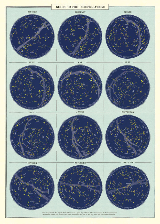 Cavallini Poster/Gift Wrap - Constellations