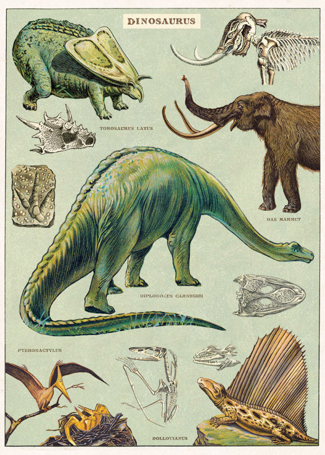 Cavallini Poster/Gift Wrap - Dinosaurs