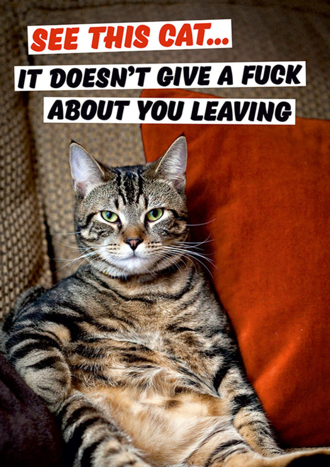 Dean Morris Card LARGE - See This Cat