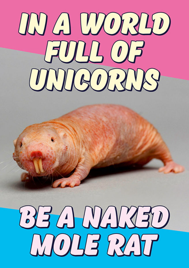 Dean Morris Card - In a World Full of Unicorns