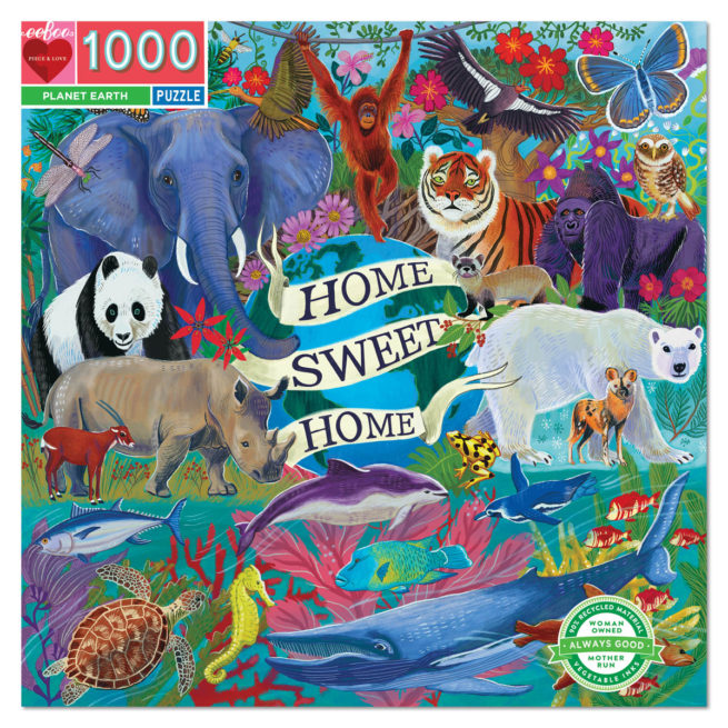 eeBoo 1000 Pc Puzzle - Planet Earth