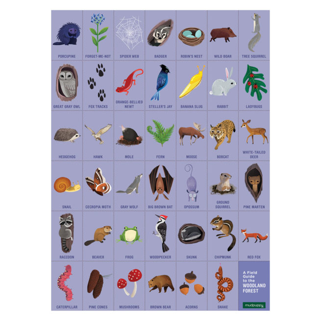 Mudpuppy 64 Pc Search & Find Puzzle - Woodland Forest - Image 3