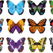 Mudpuppy Memory Match Shaped - Butterflies - Image 2