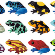 Mudpuppy Memory Match Shaped - Frogs - Image 2