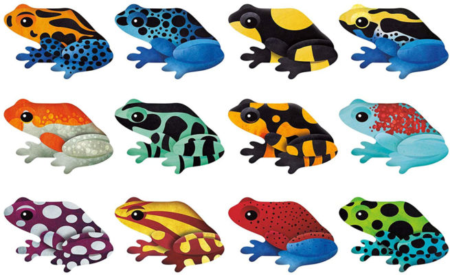 Mudpuppy Memory Match Shaped - Frogs - Image 2