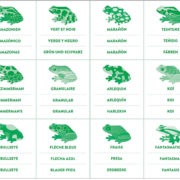 Mudpuppy Memory Match Shaped - Frogs - Image 3