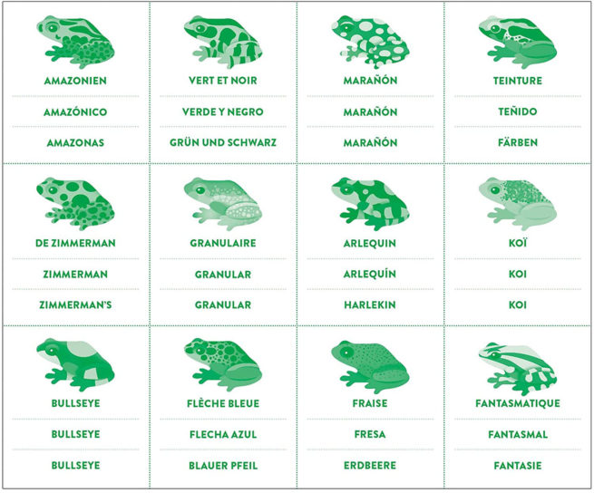 Mudpuppy Memory Match Shaped - Frogs - Image 3