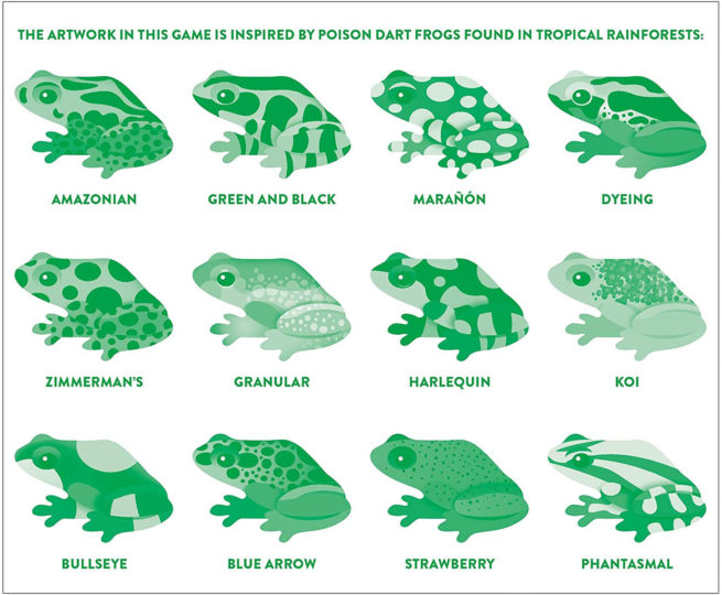 Mudpuppy Memory Match Shaped - Frogs - Image 4