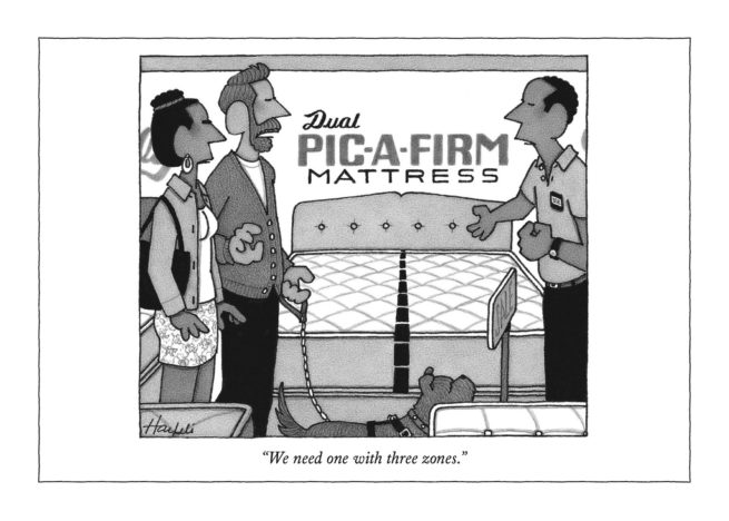 The New Yorker Card - Mattress Zones