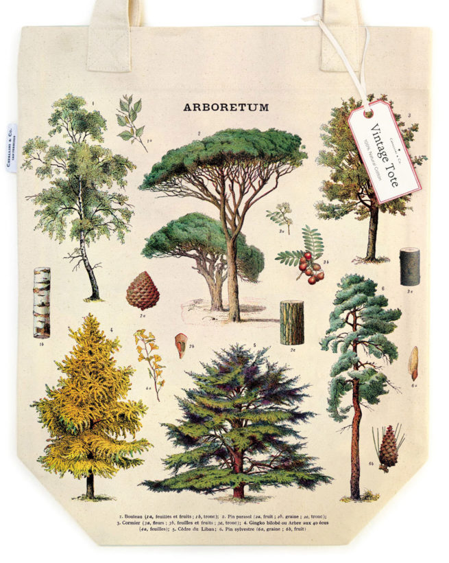 Cavallini Tote Bag - Arboretum - Image 2