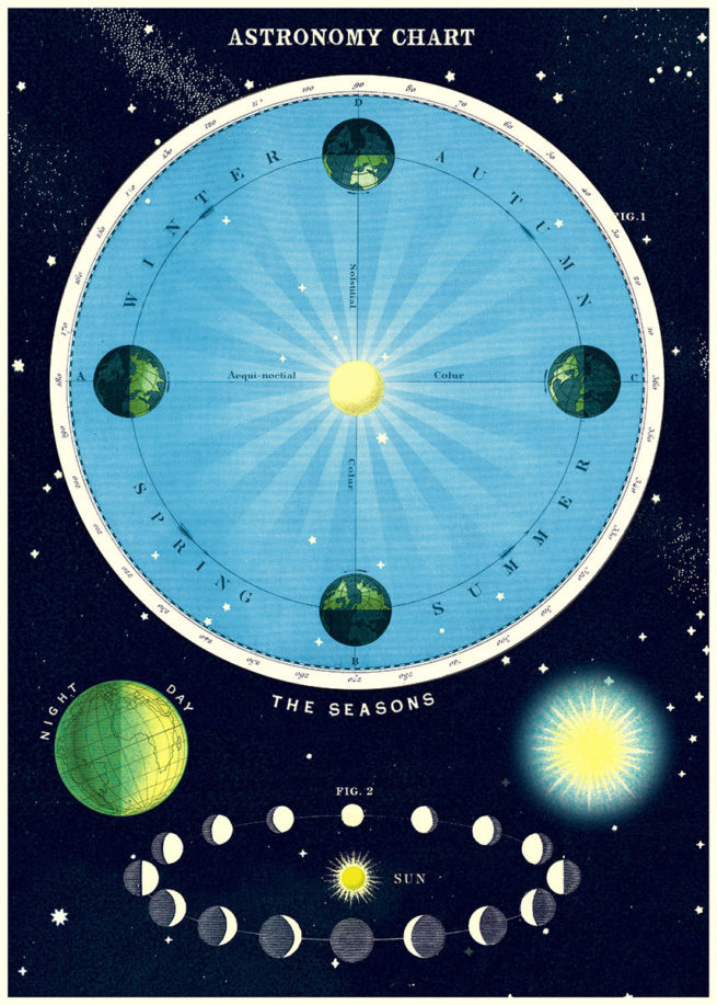 Cavallini Poster/Gift Wrap - Astronomy Chart