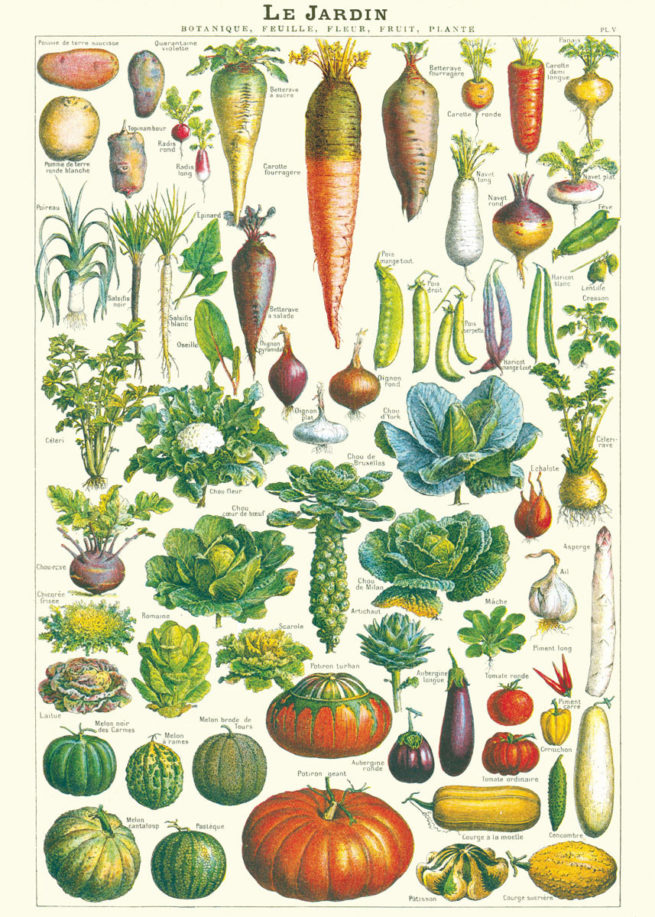 Cavallini Poster/Gift Wrap - Le Jardin