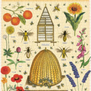 Cavallini - 1000 Pc Puzzle Bees & Honey - Image 3