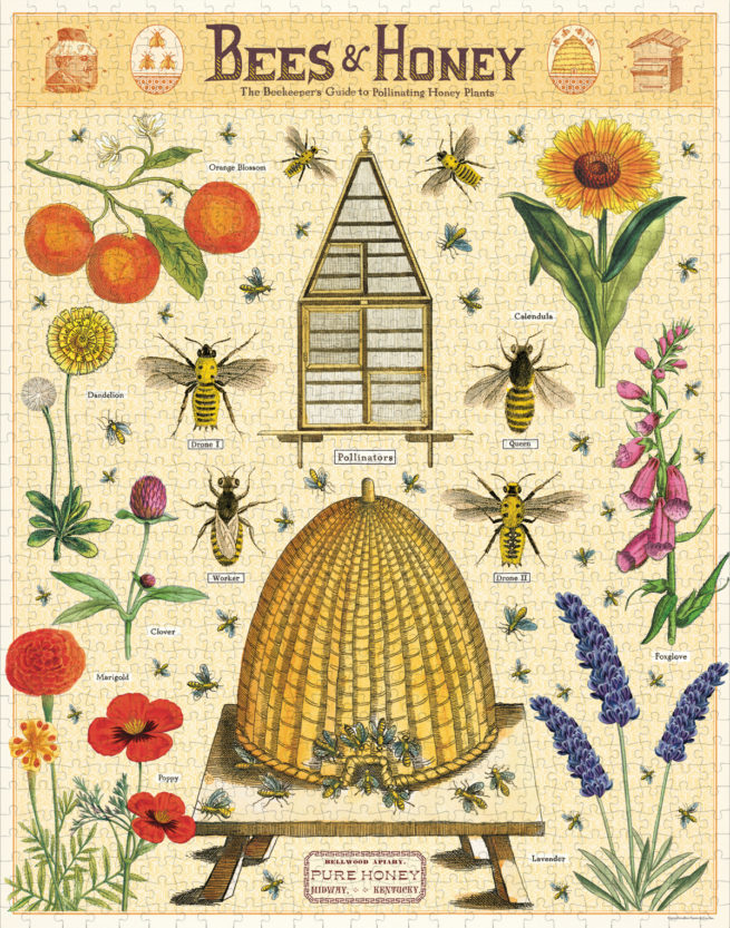 Cavallini - 1000 Pc Puzzle Bees & Honey - Image 3