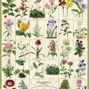Cavallini - 1000 Pc Puzzle Botanic Garden - Image 3