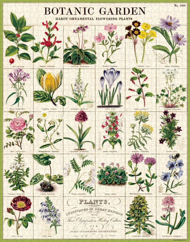 Cavallini - 1000 Pc Puzzle Botanic Garden - Image 3