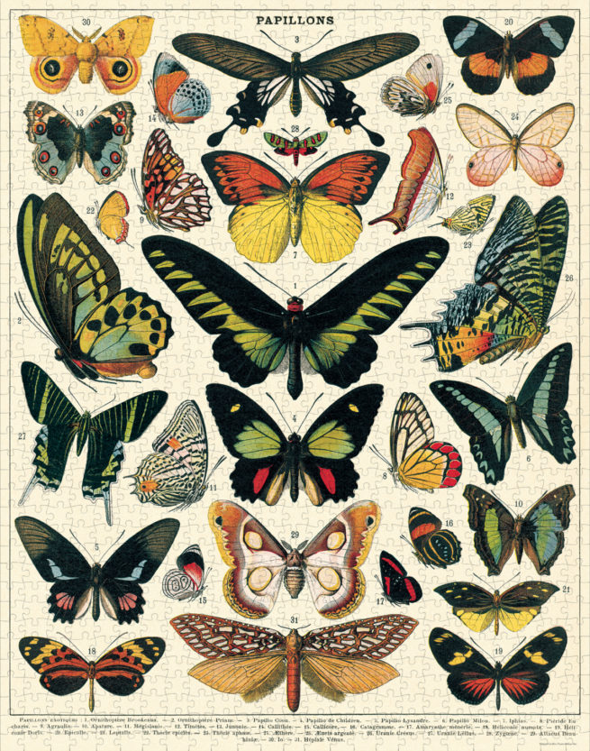 Cavallini - 1000 Pc Puzzle Butterflies - Image 3