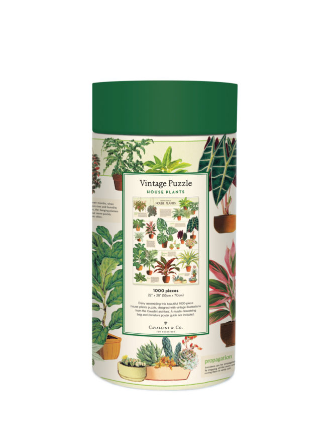 Cavallini - 1000 Pc Puzzle House Plants - Image 2
