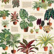 Cavallini - 1000 Pc Puzzle House Plants - Image 3