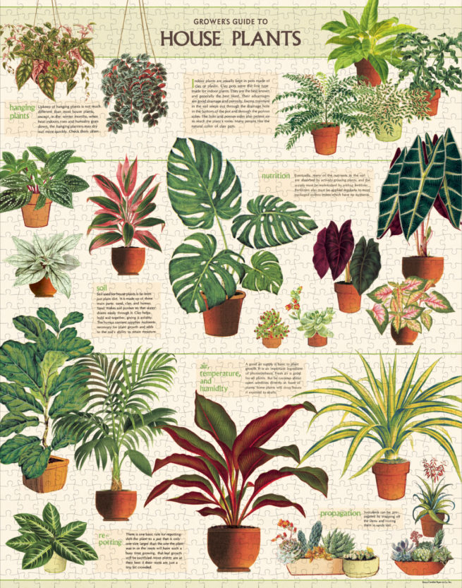 Cavallini - 1000 Pc Puzzle House Plants - Image 3