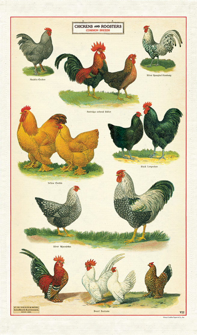 Cavallini Tea Towel - Chickens