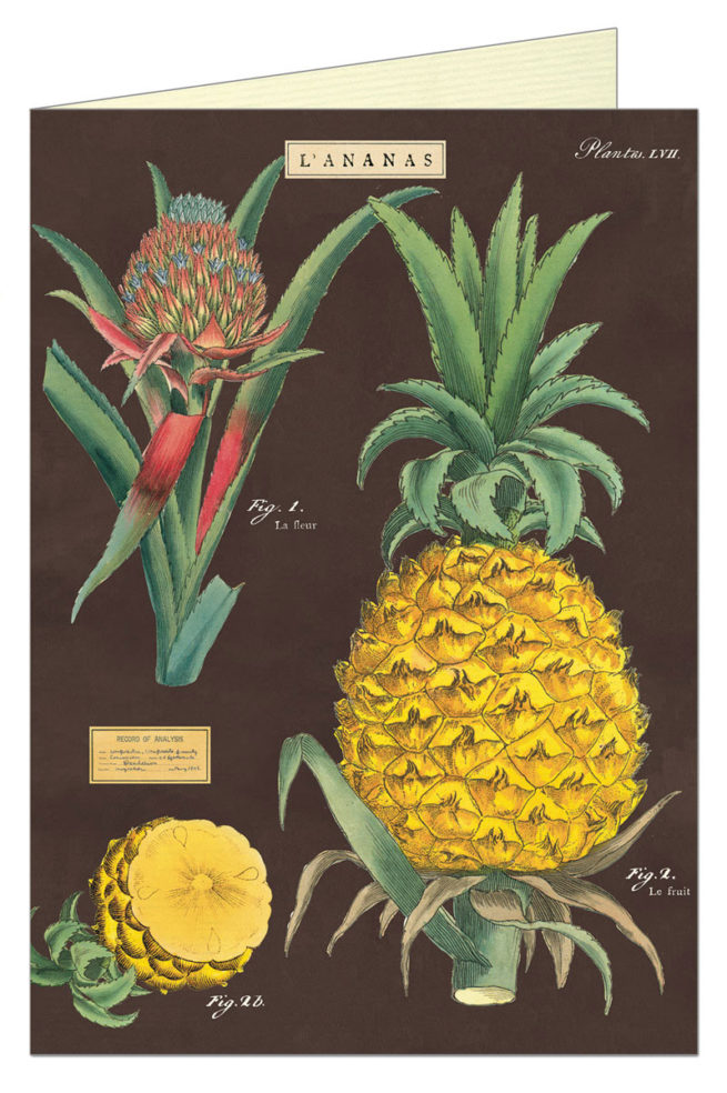 Cavallini Greeting Card - Pineapple