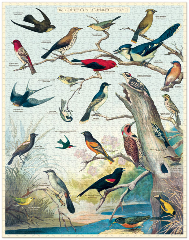 Cavallini - 1000 Pc Puzzle Audubon Birds - Image 3