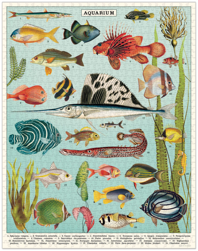 Cavallini - 1000 Pc Puzzle Fish - Image 3