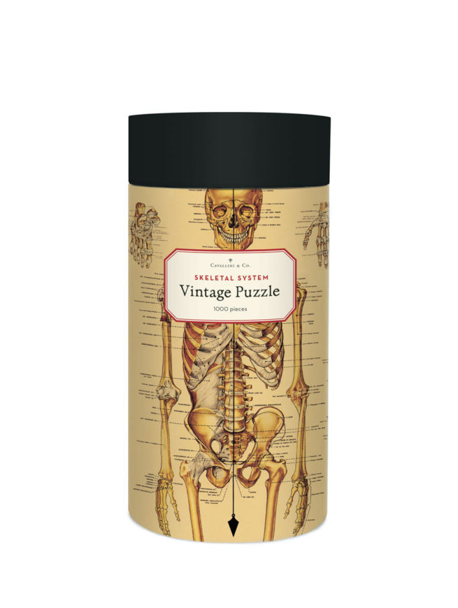 Cavallini - 1000 Pc Puzzle Skeletal System