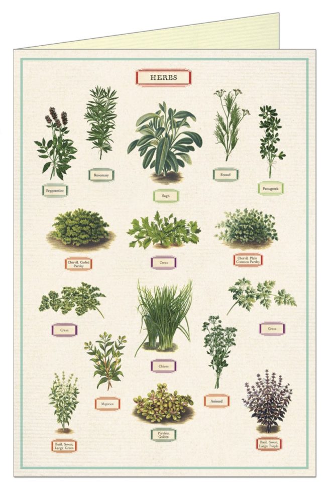 Cavallini Greeting Card - Herbs