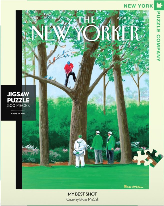 NYPC 500 Pc Puzzle - My Best Shot