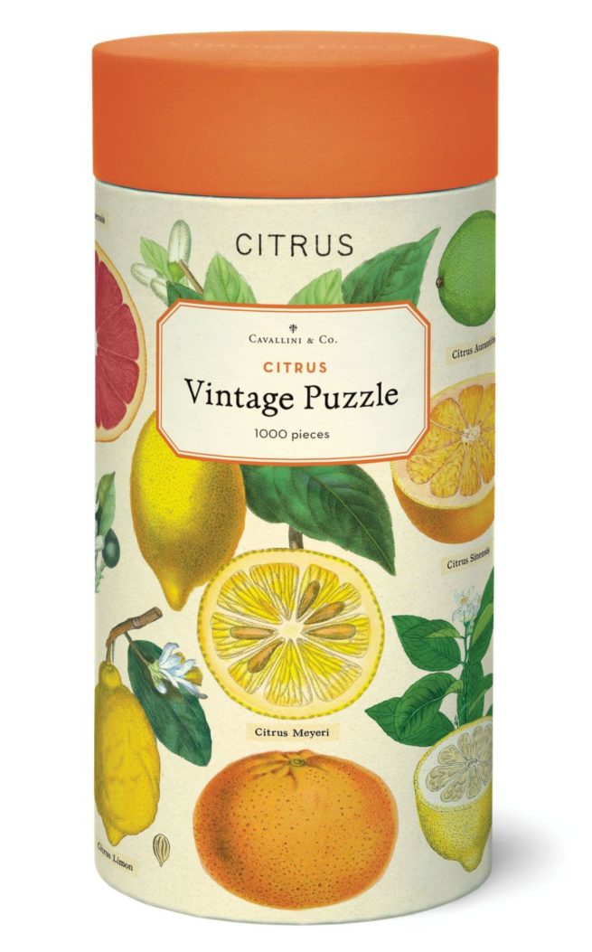 Cavallini - 1000 Pc Puzzle Citrus