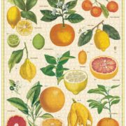 Cavallini - 1000 Pc Puzzle Citrus - Image 3