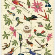 Cavallini - 1000 Pc Puzzle Hummingbird - Image 2
