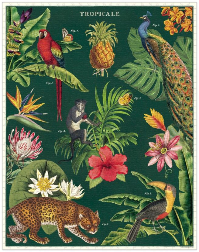 Cavallini - 1000 Pc Puzzle Tropicale - Image 2