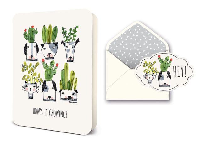 Studio Oh Card - How's it Growing?