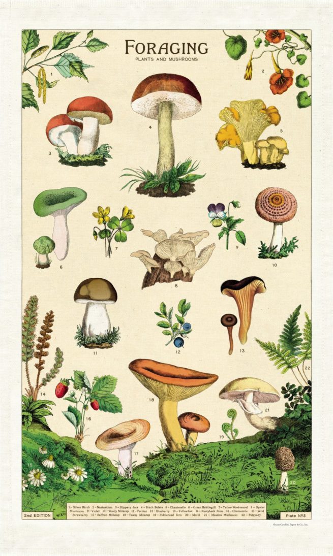 Cavallini Tea Towel - Foraging