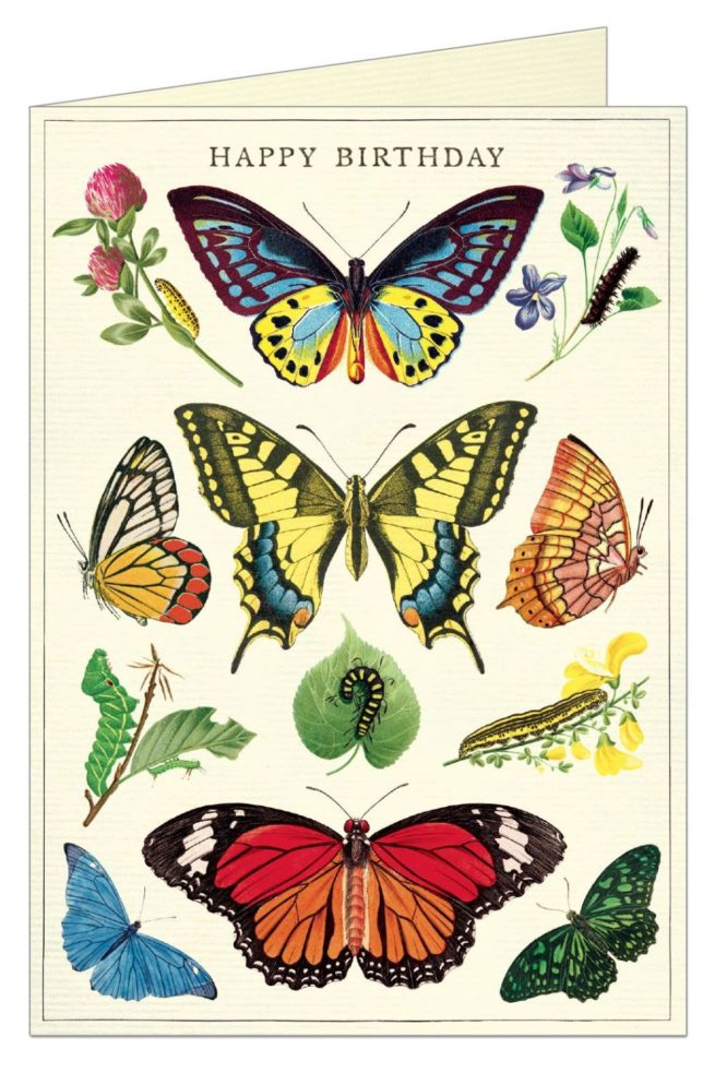 Cavallini Greeting Card - HB Butterfly