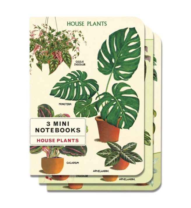 Cavallini Notebook Mini Set - House Plants