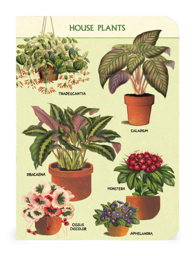 Cavallini Notebook Mini Set - House Plants - Image 3