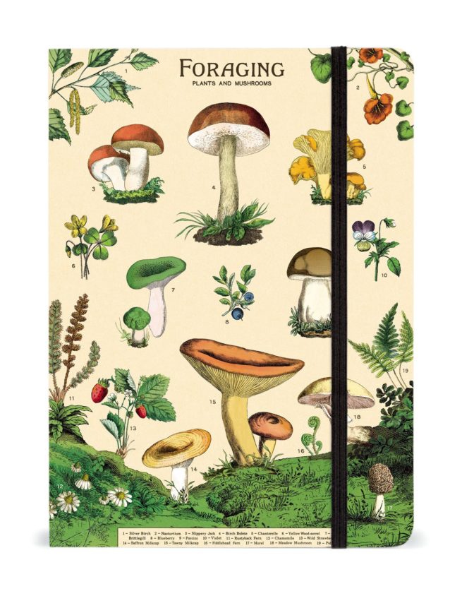 Cavallini Notebook Large - Foraging