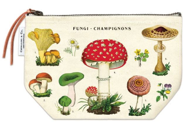 Cavallini Pouch - Mushroom