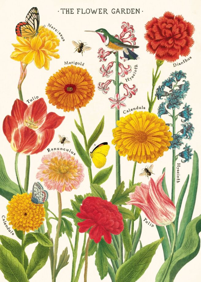 Cavallini Poster/Gift Wrap - Flower Garden