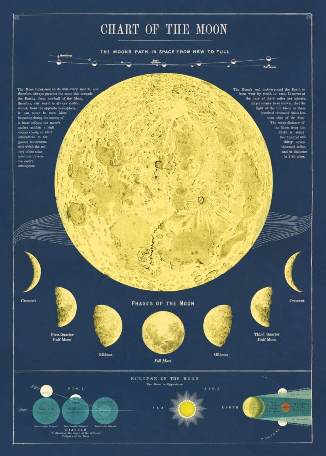 Cavallini Poster/Gift Wrap - Moon Chart