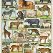 Cavallini - 1000 Pc Puzzle Animal World - Image 3